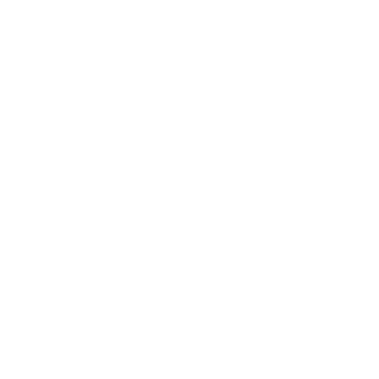 Spine-dynamics